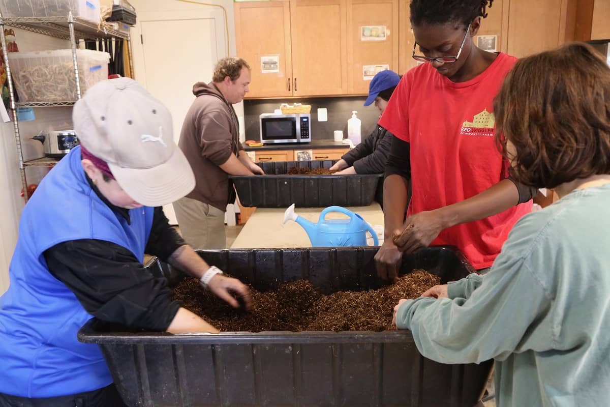 Preparing soil for seeding by breaking up clumps of soil and adding water to condition it