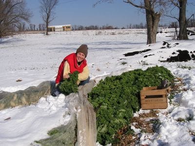 Adrienne harvesting kale in the winter of 2005.