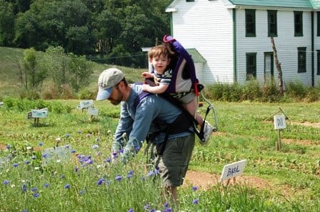 CSA Member and child picking herbs in 2006.