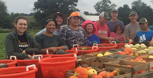 Laura, on the far left, and the crew take pride after the squash harvest.